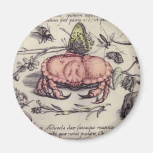 Crab Botanical Insect Flower Illustration Magnet