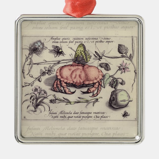 Crab Botanical Insect Flower Illustration Metal Tree Decoration (Front)