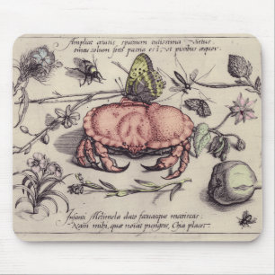 Crab Botanical Insect Flower Illustration Mouse Mat