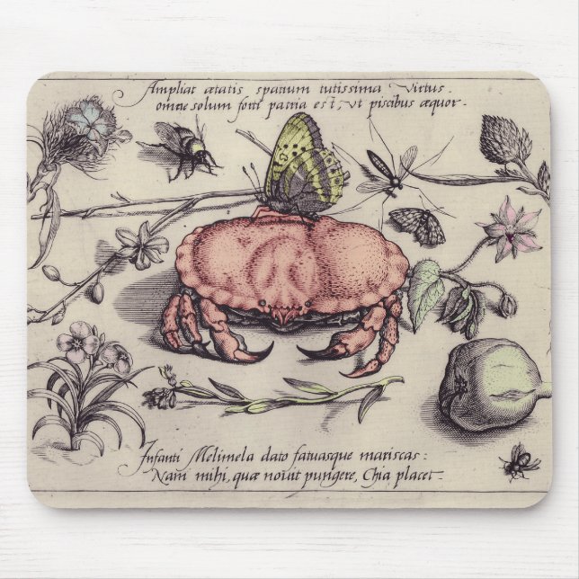 Crab Botanical Insect Flower Illustration Mouse Mat (Front)