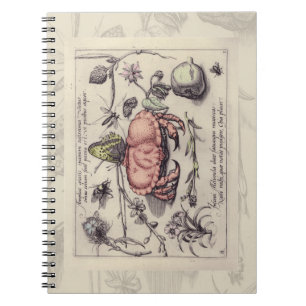 Crab Botanical Insect Flower Illustration Notebook