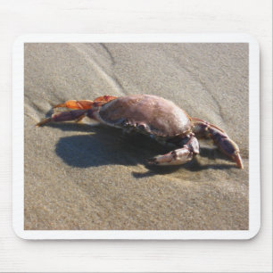 Crab, Coast Guard Beach Mouse Mat