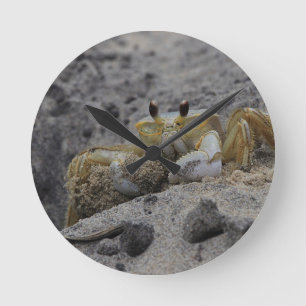Crab, Crustacean, Sand Round Clock