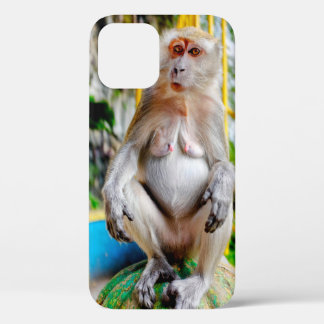 Crab-eating macaque iPhone 12 case