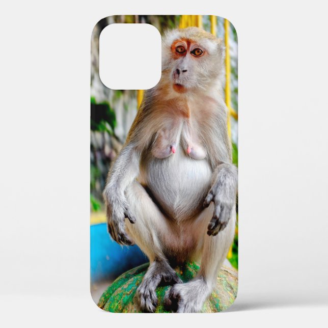 Crab-eating macaque Case-Mate iPhone case (Back)