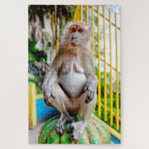 Crab-eating macaque jigsaw puzzle