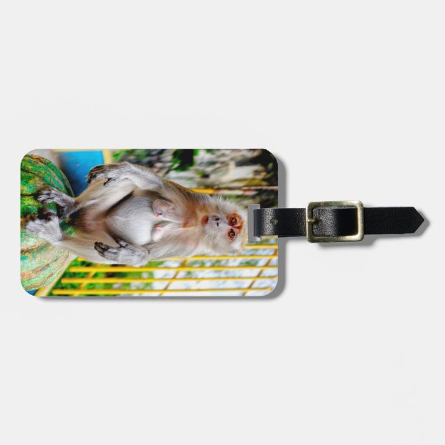 Crab-eating macaque luggage tag (Front Horizontal)