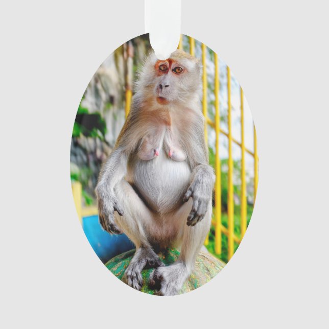 Crab-eating macaque ornament (Front)
