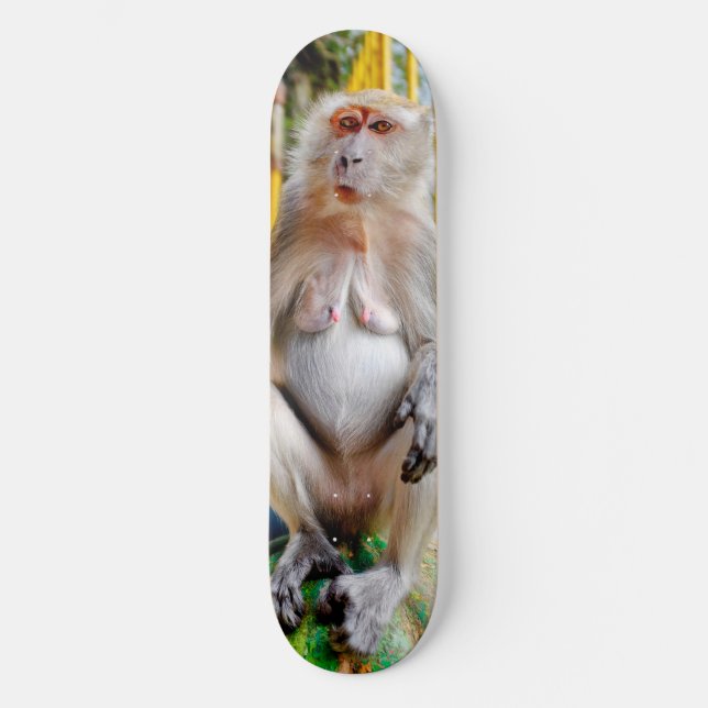 Crab-eating macaque skateboard (Front)