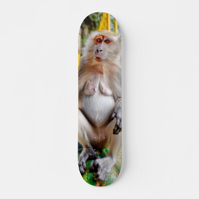 Crab-eating macaque skateboard (Front)
