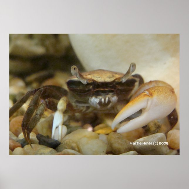 Crab Louis Poster (Front)