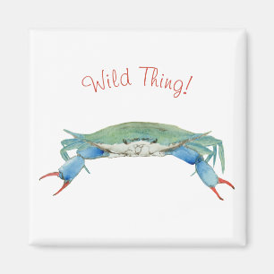 Crab Magnet