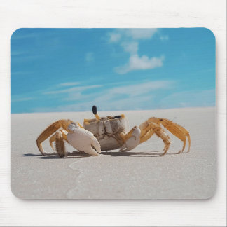 Crab mouse pad