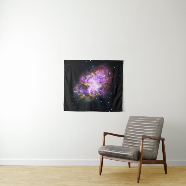 Crab Nebula Supernova Remnant Hubble Composite Tapestry (In Situ (Horizontal))