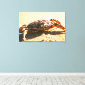 Crab on The Beach Photograph Canvas Print (Insitu(Wood Floor))