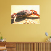 Crab on The Beach Photograph Canvas Print (Insitu(LivingRoom))