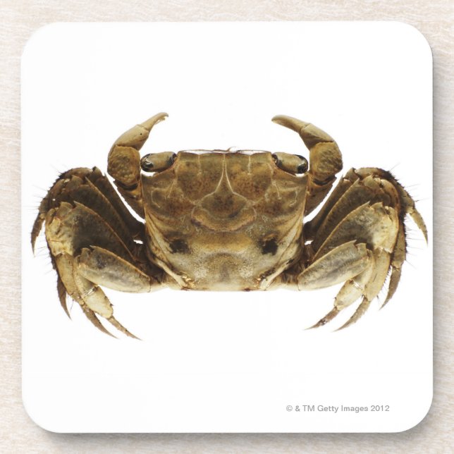 Crab on white background coaster (Front)