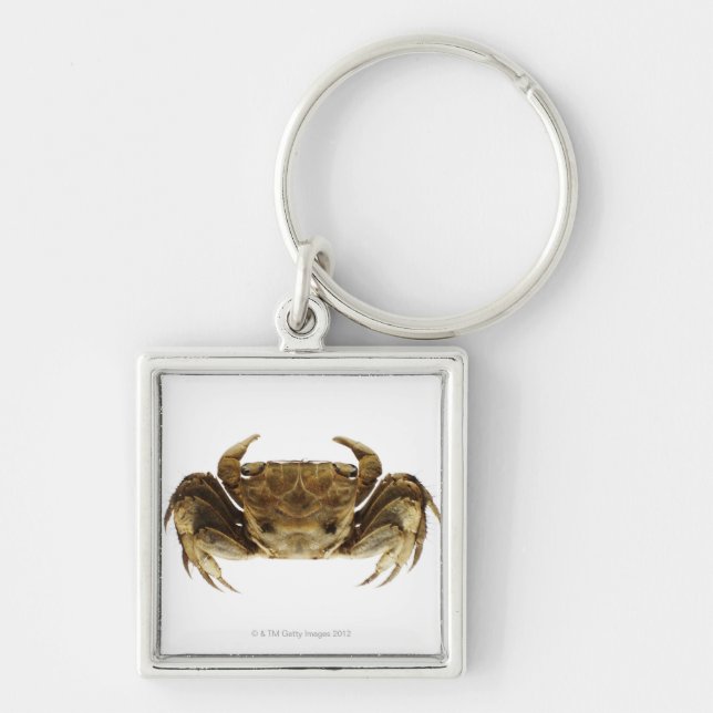 Crab on white background key ring (Front)