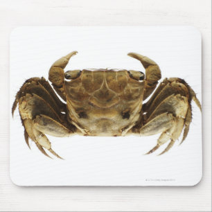 Crab on white background mouse mat