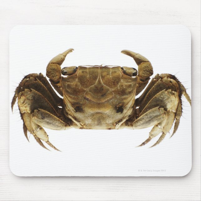Crab on white background mouse mat (Front)