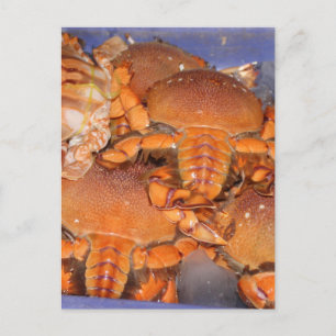 Crab Postcard