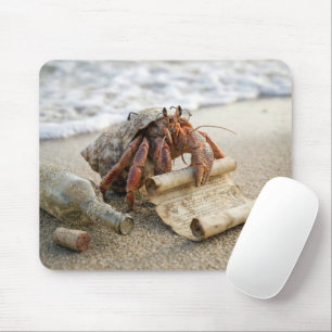 Crab Reading a Letter on a Beach Mouse Mat