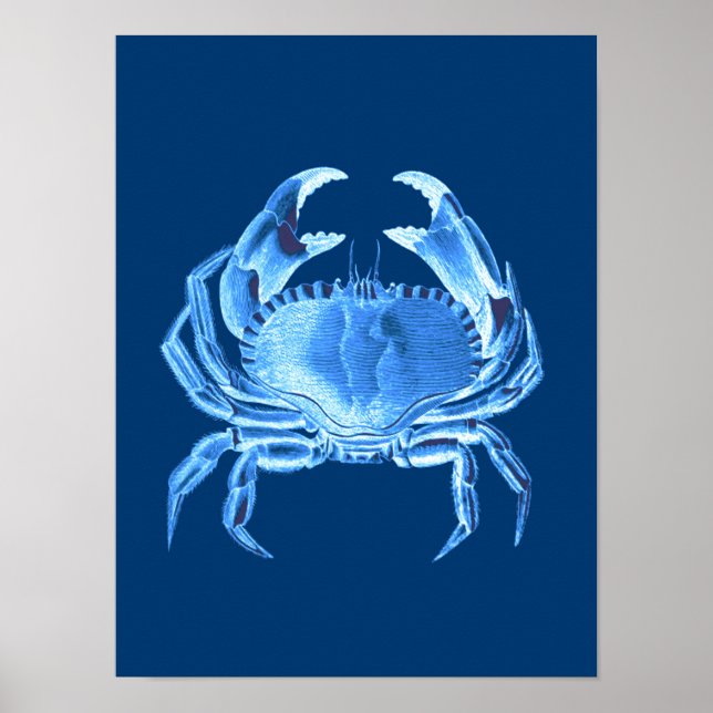 Crab Sea Life Print, Indigo Blue and White Poster (Front)