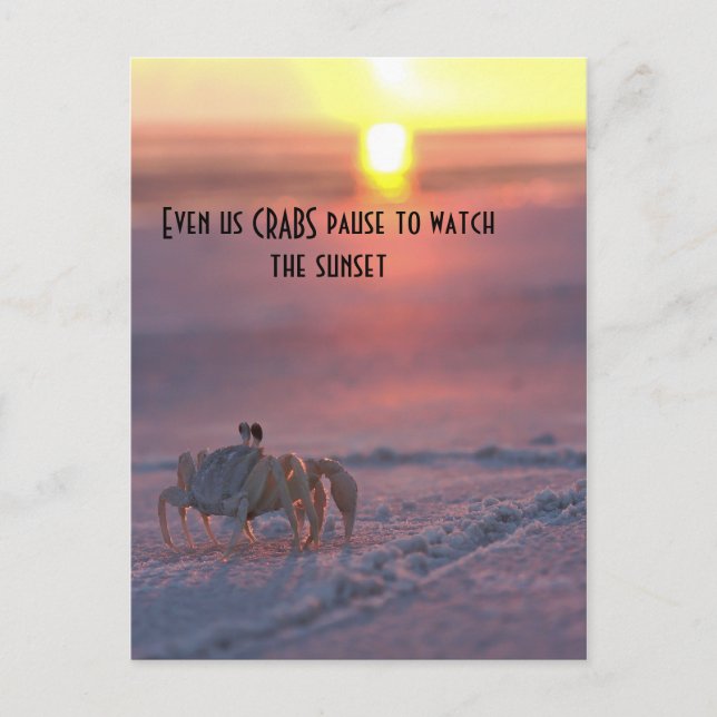 Crab watching the sunset postcard (Front)