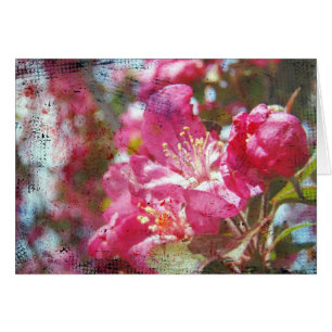 Crabapple Blossoms All Occasions Greeting Card