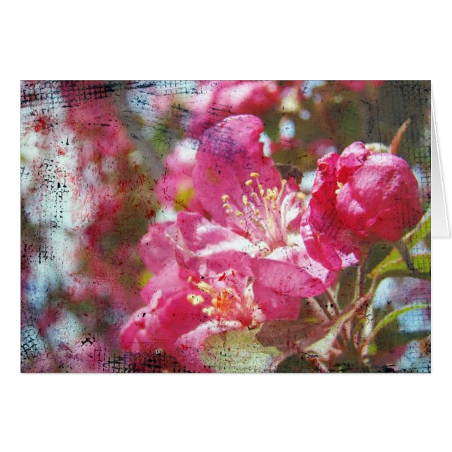 Crabapple Blossoms All Occasions Greeting Card  (Front Horizontal)