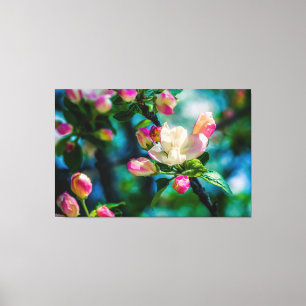 Crabapple flower and buds canvas print