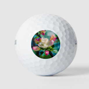 Crabapple flower and buds golf balls