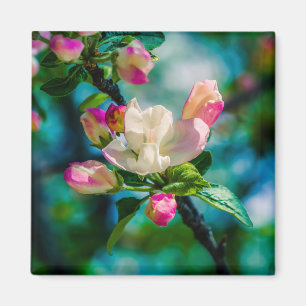 Crabapple flower and buds magnet