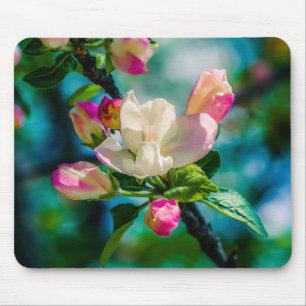 Crabapple flower and buds mouse mat