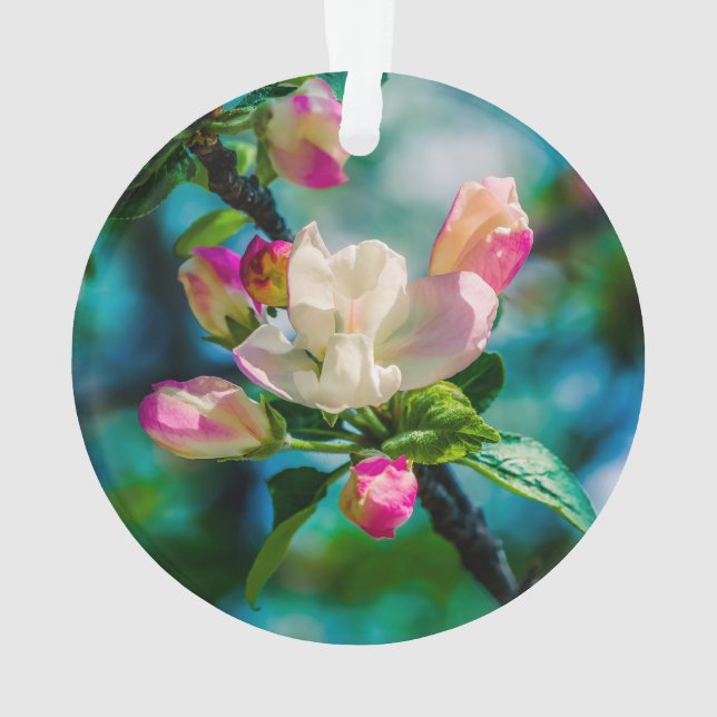 Crabapple flower and buds ornament (Back)