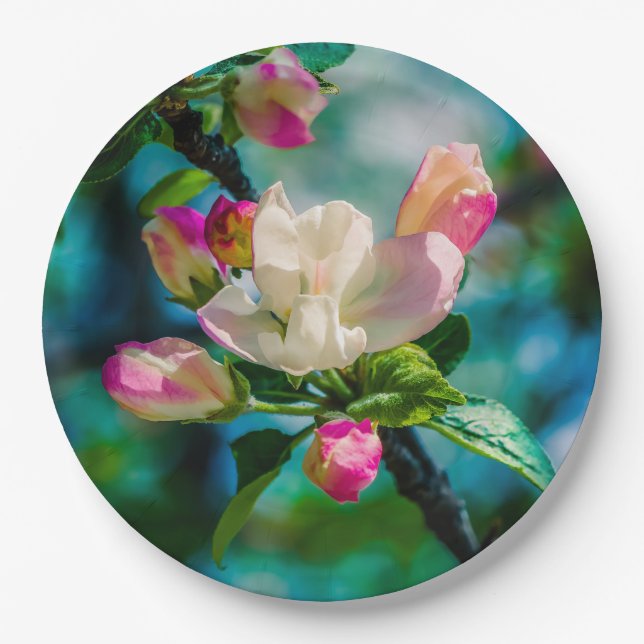 Crabapple flower and buds paper plate (Front)