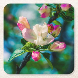 Crabapple flower and buds square paper coaster