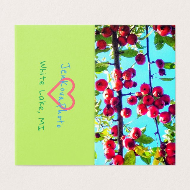 CRABAPPLE SKY MINI CARDS 2x3.5 horizontal (Outside Unfolded)