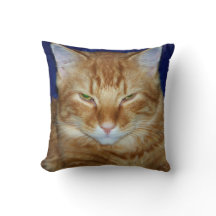 Crabby Cat - Orange Maine Coon Throw Pillow