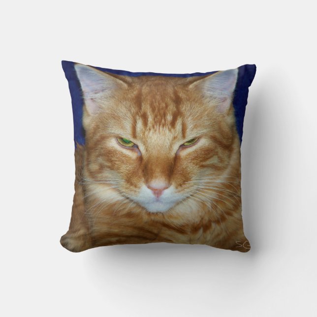 Crabby Cat - Orange Maine Coon Throw Pillow (Front)