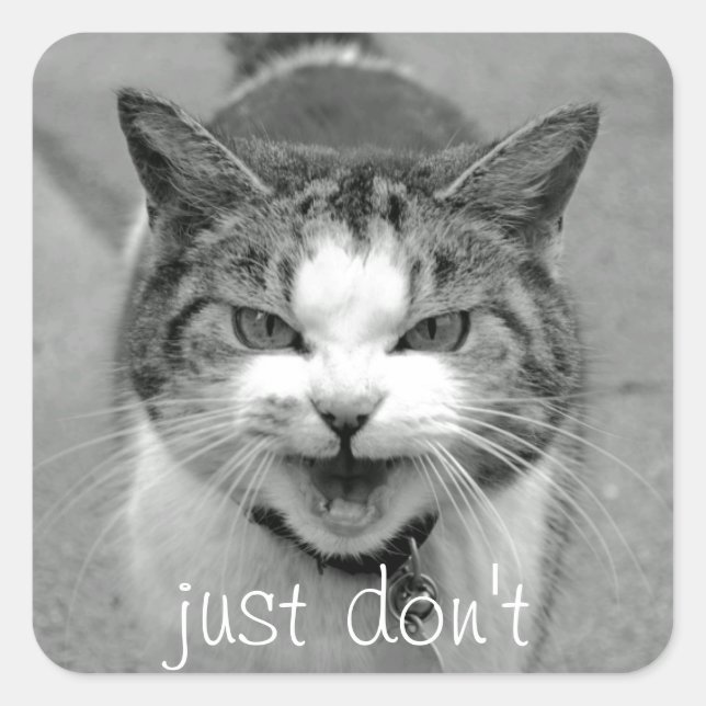 Crabby Cat Stickers (Front)