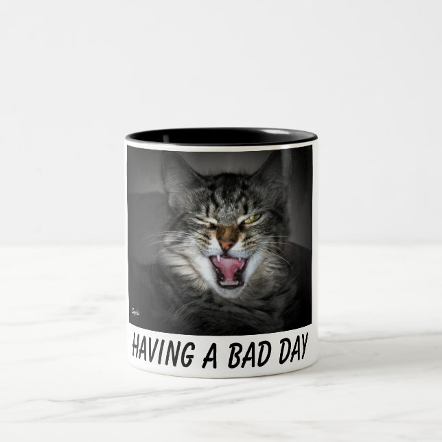 Crabby Kitty Cat  Mug (Center)
