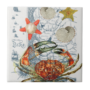 crabby map starfish tile