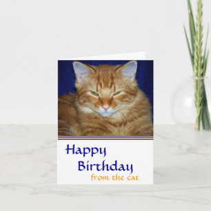 Crabby  Tabby Cat  Birthday Card - Funny
