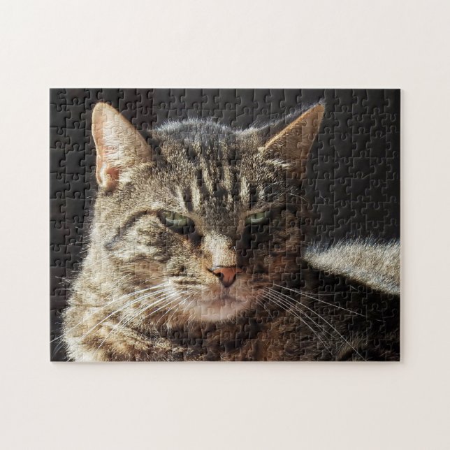 Crabby Tabby Cat Jigsaw Puzzle (Horizontal)