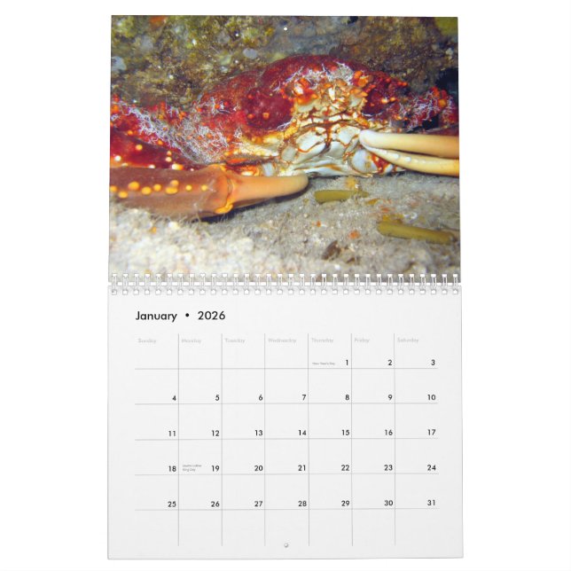 Crabs (2010 calendar) calendar (Jan 2026)