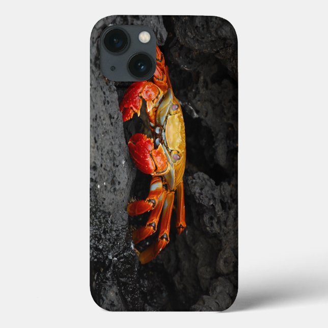 Crabs, crustaceans, sand Case-Mate iPhone case (Back)