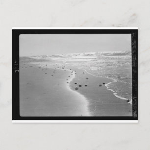 Crabs on the beach. At Wadi Ghuzze 1920-1933.tif Postcard