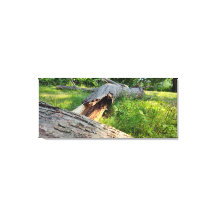 Cracked and In Shambles