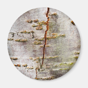 Cracked Birch Bark Magnet